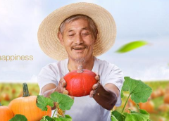 企业网站制作农业信息网站制作的重要性及现状分析