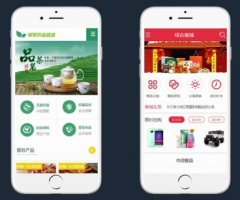 小程序定制开发中应该选择网页商城还是小程序商城
