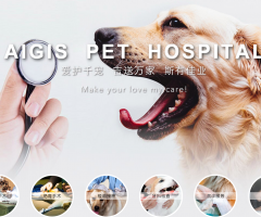 青岛经济技术开发区爱*斯宠物医院宠物网站建设方案分析