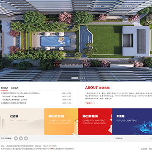 三亚网站建设建方*房地产开发有限公司官网上线