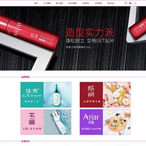 百色网站建设服务珂朗*护肤品有限公司