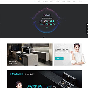 经济开发网站建设上线德*星厨卫有限公司官网