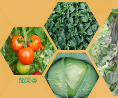 签约燕*（朝阳）农业科技股份有限公司辽宁网站制作价格*950