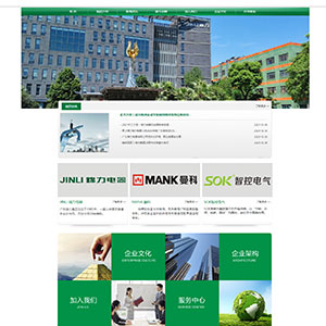 黑龙江网站建设莫西*实业电器有限公司官网发布