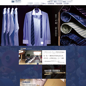 湖北网站建设雅尉*星纺织有限公司官网发布