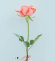签约万*源花艺有限公司海南网站制作价格*899