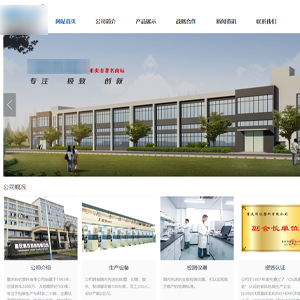 贵州网站建设益*橡胶塑料机械集团有限公司官网发布