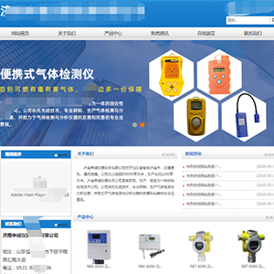 天津网站建设中*仪器仪表有限公司官网发布
