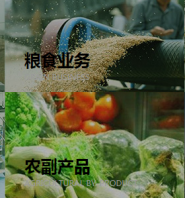 签约现代**农业集团有限公司保亭网站制作价格*999