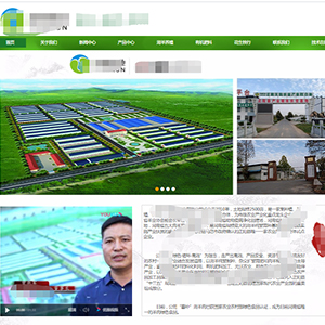 海南网站建设现代**农业集团有限公司官网发布