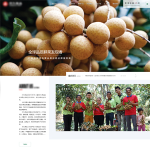 官网发布衢州网站建设*九果品股份有限公司