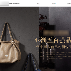 官网发布乐东网站建设菲*皮具有限公司