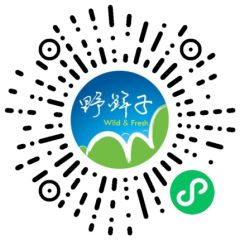野鲜子小程序二维码