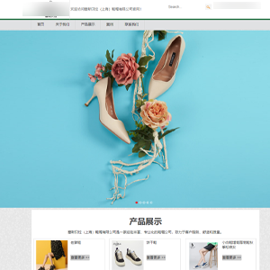 山西网站建设塞**拉鞋帽有限公司平面设计案例作品