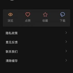 今夜壁纸美图小程序开发创意设计欣赏