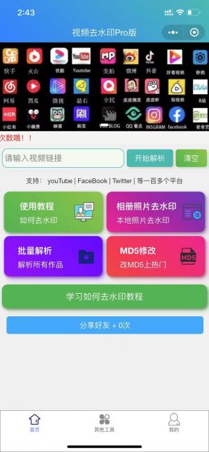 视频去水印Pro版小程序设计图1