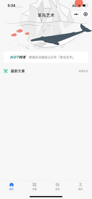 笨鸟艺术小程序设计图1