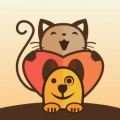 欣赏上海小程序开发猫行狗市宠物交易市场