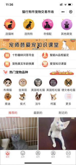 猫行狗市宠物交易市场小程序设计图2