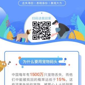 宠物小程序开发技术难度分析宠物码头