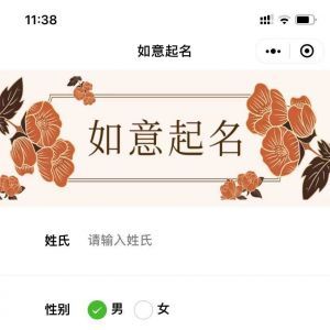亲子小程序制作项目分析如意起名宝宝诗词取名字