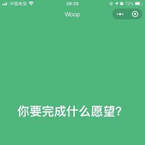 工具小程序制作技术难度分析Woop