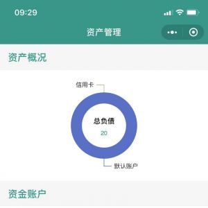 金融小程序制作项目分析氢记账