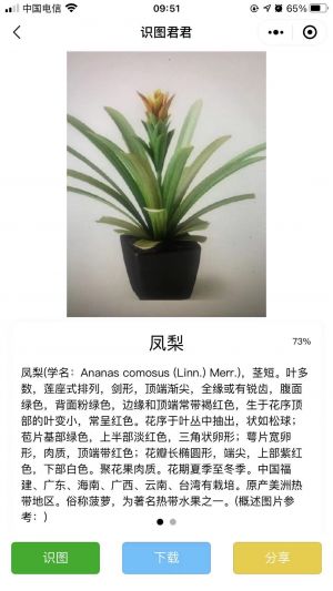 脑筋急转弯题目大全小程序设计图3