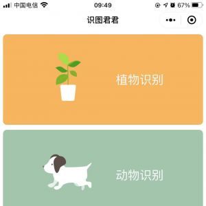 识图君君工具小程序开发欣赏