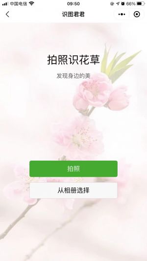 识图君君小程序设计图2