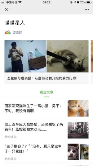 上海微信公众号开发【波奇网】