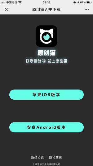 上海公众号开发_【原创猫】公众号的认证时间