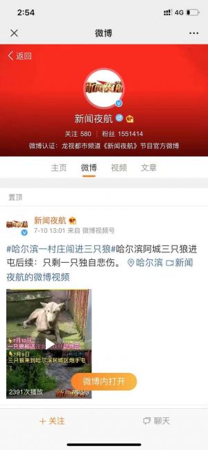 资讯微信公众号开发_【新闻夜航】公众号的简介