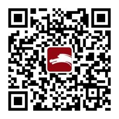 环球网公众号二维码