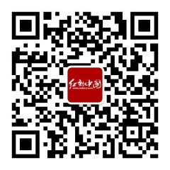 红动设计网公众号二维码