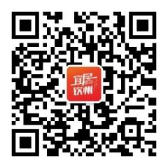宜居钦州公众号二维码