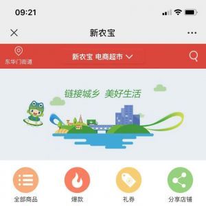 【岑巩县新农宝】购物商城公众号开发设计分析