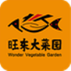 重庆APP开发公司创意设计欣赏-旺东大菜园