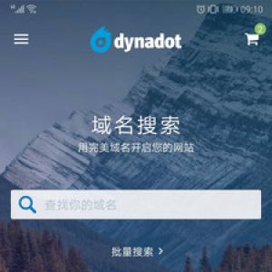 Dynadot-实用工具APP开发创意设计欣赏
