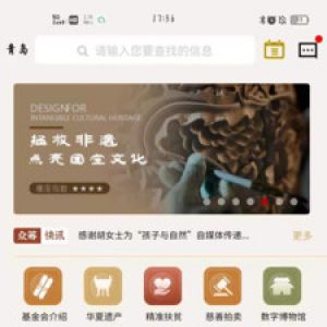 实用工具APP开发项目分析-数字东方