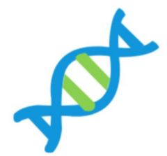 智慧医生，基因与靶向药信息查询小程序图标
