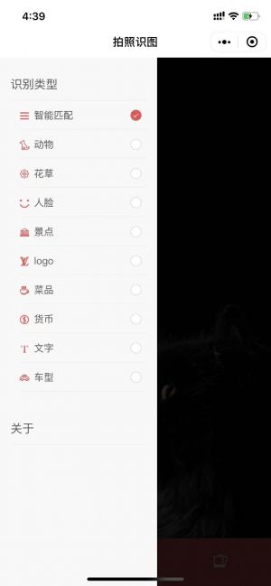 拍照识图小程序设计图1