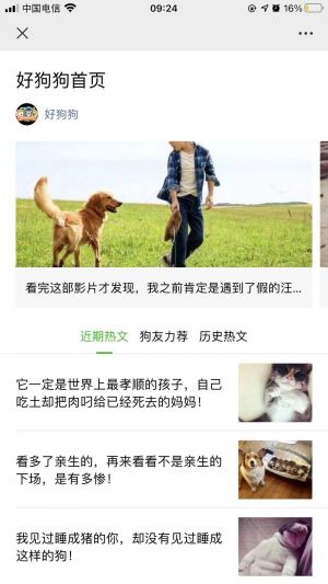 宠物微信公众号开发_【好狗狗】公众号图标