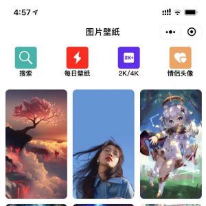 【证件照寸照制作】生活小程序开发技术难度分析