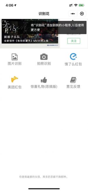 鲜花识别小程序设计图1
