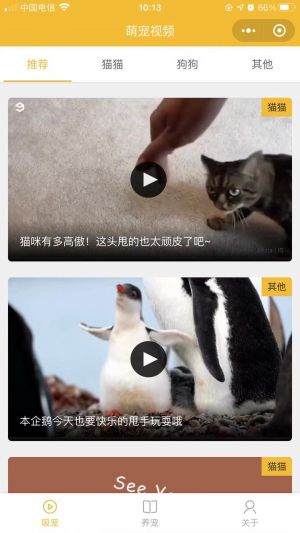 吸宠吧小程序设计图1