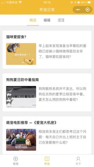 吸宠吧小程序设计图2