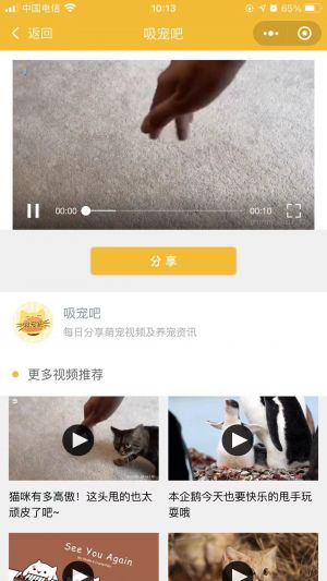 吸宠吧小程序设计图4