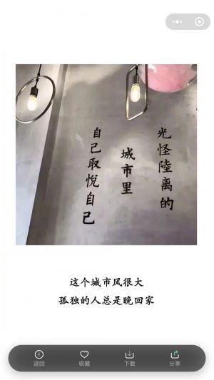 蜜蜂壁纸小程序设计图2