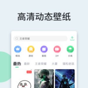 壁纸多多-桌面扩展APP定制开发分析